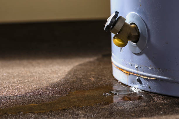 Best Water damage mitigation services  in Elmira Heights, NY