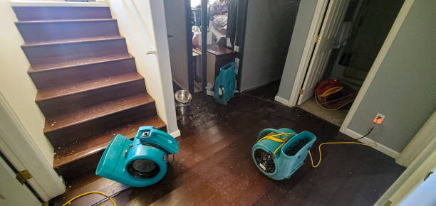 Best Fire Damage Restoration  in Elmira Heights, NY