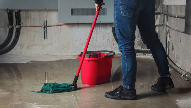 Best 24-hour water damage restoration  in Elmira Heights, NY