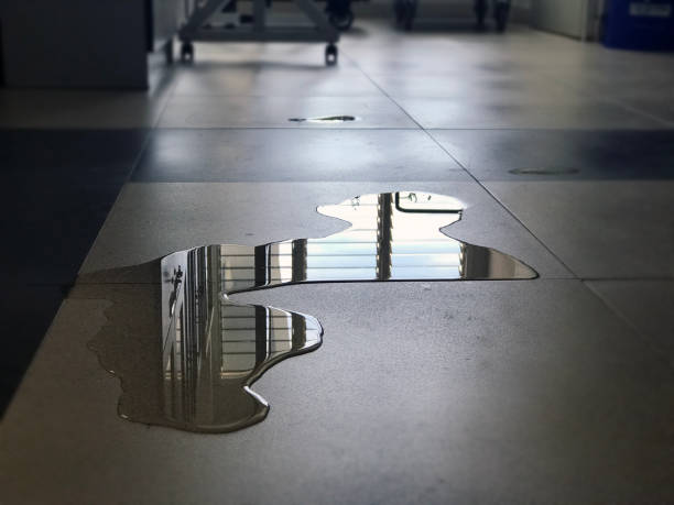 Best Local water damage restoration  in Elmira Heights, NY