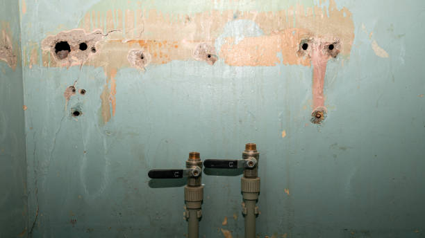 Best Water damage restoration near me  in Elmira Heights, NY