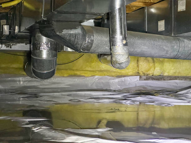Best Mold removal after water damage  in Elmira Heights, NY